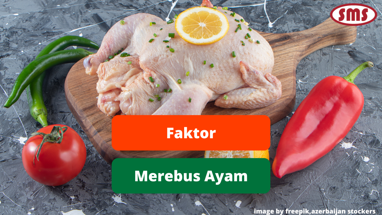 Ketahui Hal Yang Berpengaruh Dalam Merebus Daging Ayam